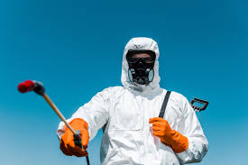 Real Estate Pest Inspections in West Sacramento, CA